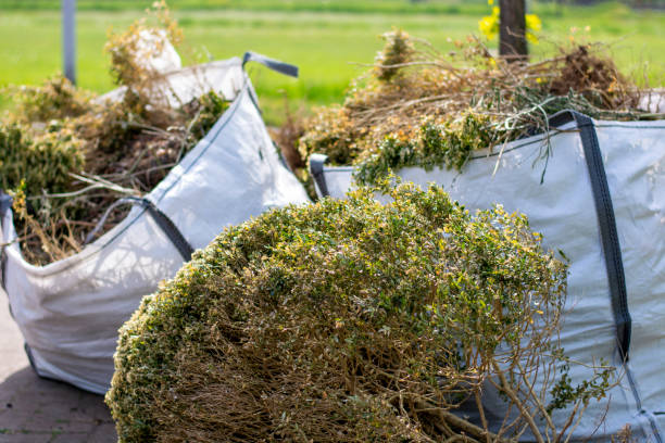 Best Dumpster Rental Services  in Marshall, TX